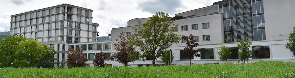 Stiftungsrat