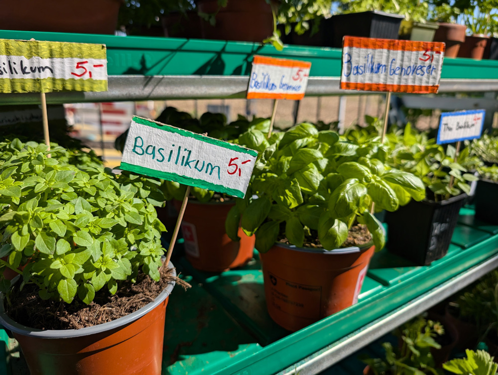 Flohmarkt, Raum & Natur